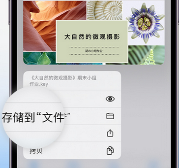 禅城apple维修中心分享iPhone文件应用中存储和找到下载文件