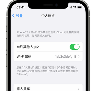 禅城apple服务站点分享iPhone上个人热点丢失了怎么办 