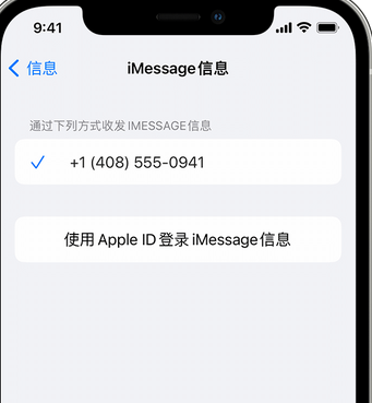 禅城apple维修iPhone上无法正常发送iMessage信息