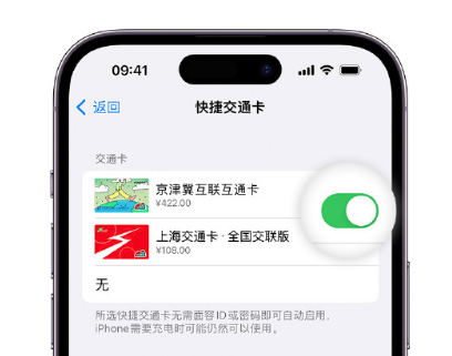 禅城apple维修点分享iPhone上更换Apple Pay快捷交通卡手绘卡面 