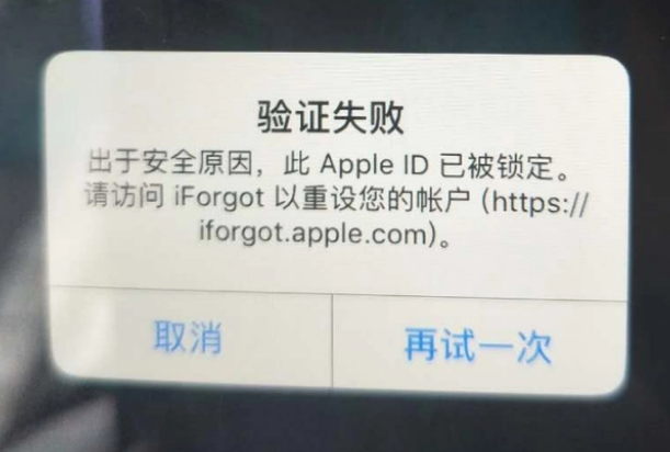 禅城iPhone维修分享iPhone上正常登录或使用AppleID怎么办 