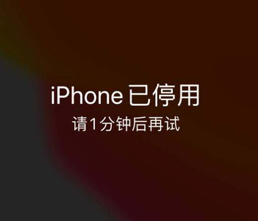 禅城苹果手机维修分享:iPhone 显示“不可用”或“已停用”怎么办？还能保留数据吗？ 