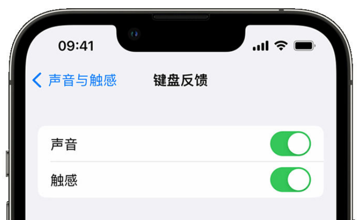 禅城苹果手机维修分享iPhone 14触感键盘使用方法 