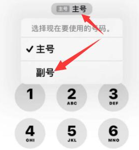 禅城苹果14维修店分享iPhone 14 Pro Max使用副卡打电话的方法 