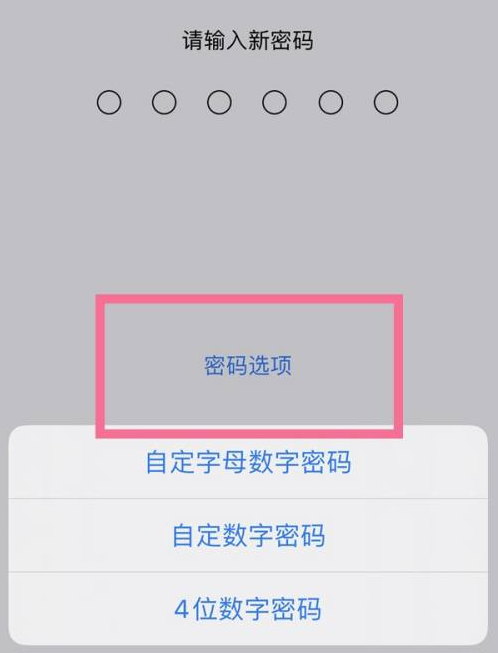 禅城苹果14维修分享iPhone 14plus设置密码的方法 