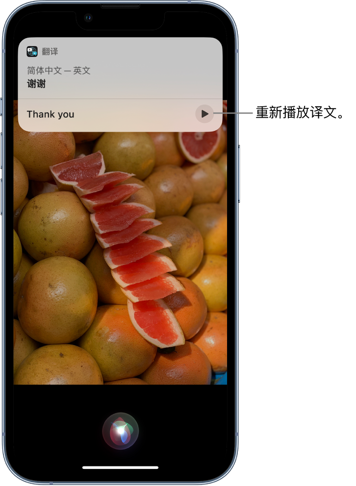 禅城苹果14维修分享 iPhone 14 机型中使用 Siri：了解 Siri 能帮你做什么 