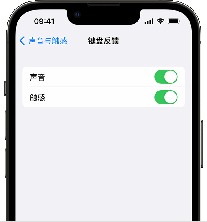 禅城苹果14维修分享iPhone 14 系列机型如何开启键盘声音或触感反馈 