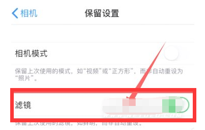 禅城苹果13维修分享iPhone13拍照有绿点是怎么回事 