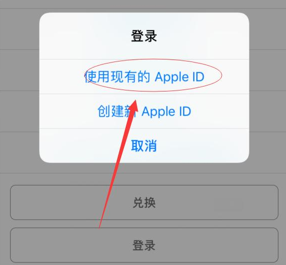 禅城苹果手机维修分享两台iPhone设备可以同时登录一个Apple ID吗 