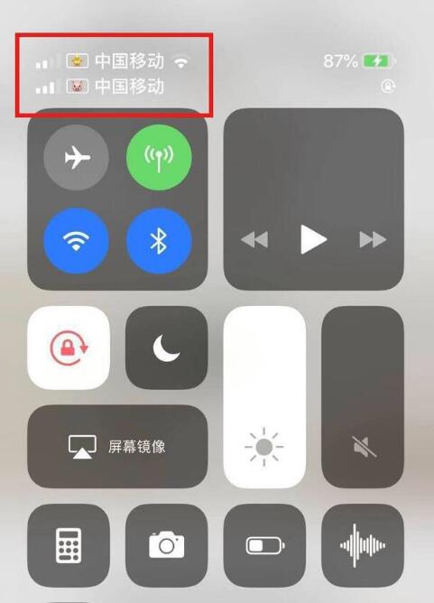 禅城苹果手机维修分享为 iPhone 12 双卡设置标签 