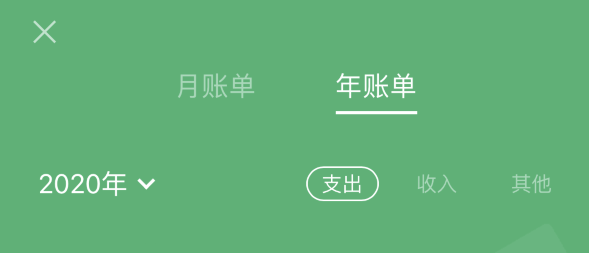 禅城苹果手机维修分享如何在 iPhone 上查看支付宝和微信年支出账单 